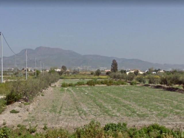 VENTA DE PARCELA EN EL ESPARRAGAL