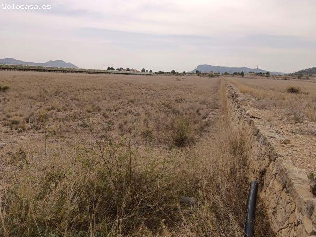 VENTA DE PARCELA EN LA ROMANA ALICANTE