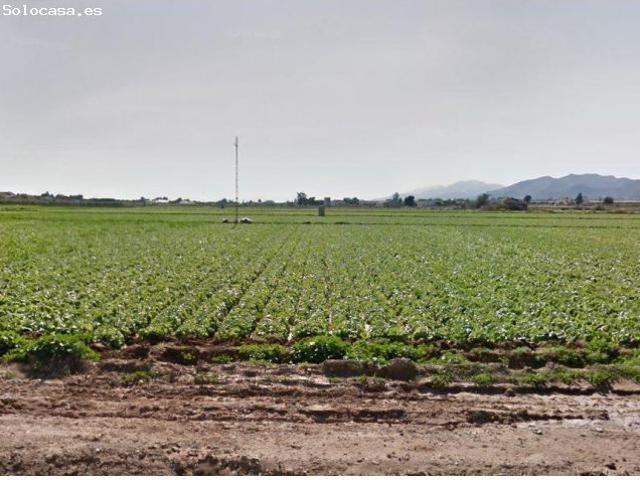 VENTA DE PARCELA PARA PLANTACIONES