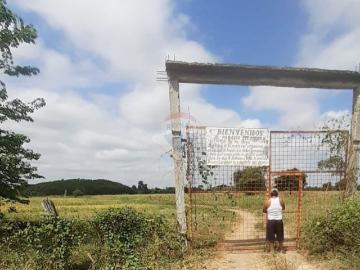Venta de Propiedad Agricola