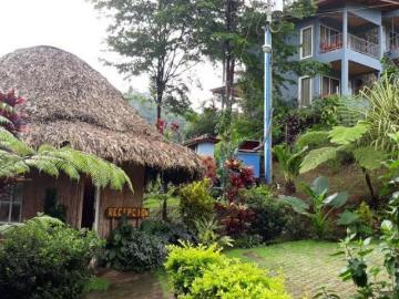 Venta de Propiedad en Chiguirí Arriba, Coclé, 20 hectáreas
