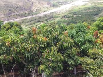 Venta de propiedad en Bolívar, Carchi