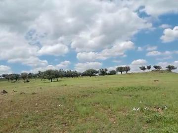 VENTA DE RANCHO AGRICOLA GANADERO EN CUSIHUIRIACHI, A HR Y MEDIA DE CHIHUAHUA CAPITAL