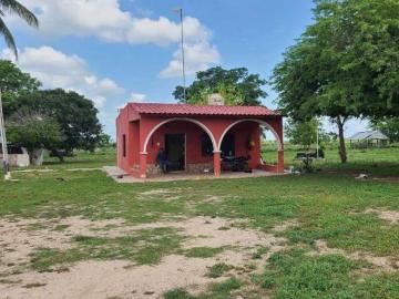 VENTA DE RANCHO DE 75HAS EN EL NORTE DE TIZIMIN YUCATAN