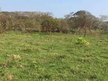 VENTA DE RANCHO DE 8 HECTÁREAS EN MISANTLA