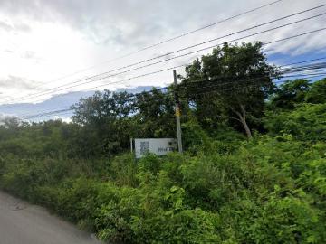 VENTA DE RANCHO EN CARRETERA CHETUMAL CANC?N