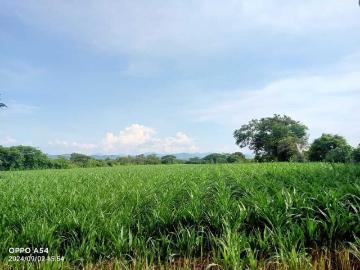 Rancho en venta en Jiquipilas Centro, Jiquipilas, Chiapas