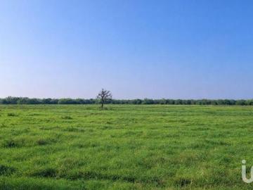 Venta de Rancho en Operación de 440 has en Cadereyta, N.L. Extraordinaria Oportunidad de Inversión