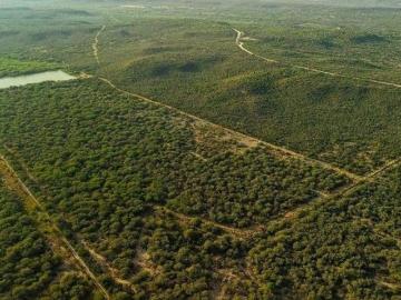 Venta de Rancho en Villagran Tamaulipas