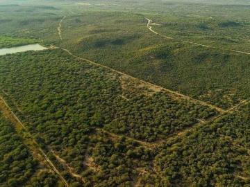 Venta de Rancho en Villagran Tamaulipas