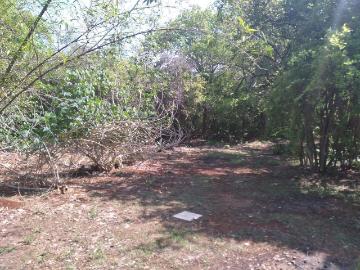 Venta de rancho para ganaderia o fraccionar en carretera a tixkokob yucatan