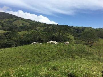 Venta de Sensacional Finca de 512 Has en Pacora 24 4132GG