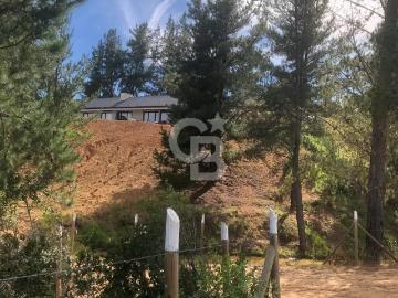 Venta de sitios en Loteo Gualleco | 0 Dormitorios por 41500. 00 en Curepto