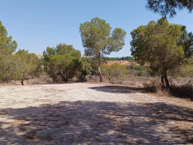 VENTA DE SOLAR EN ALTORREAL