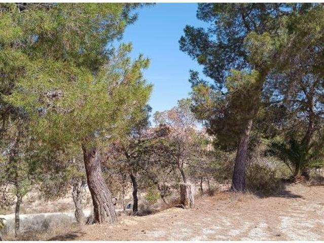 VENTA DE SOLAR EN ALTORREAL