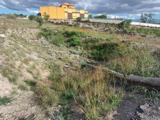 VENTA DE SOLAR EN HERNAN VALLE