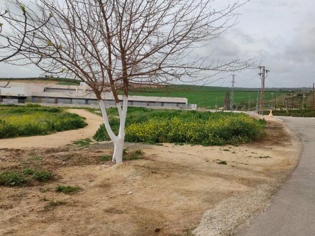 Venta de Suelo Urbanizable Residencial en CAMINO DE LOS MOLINOS Nº S/N Burguillos Sevilla
