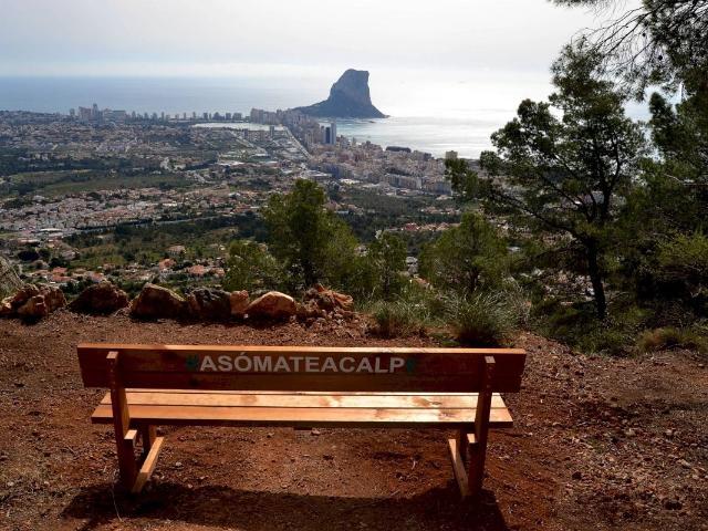 Venta de Suelo Urbanizable Residencial en Sendero ORITO, POLIGONO 11 Nº 162 Monforte del Cid/Alcant