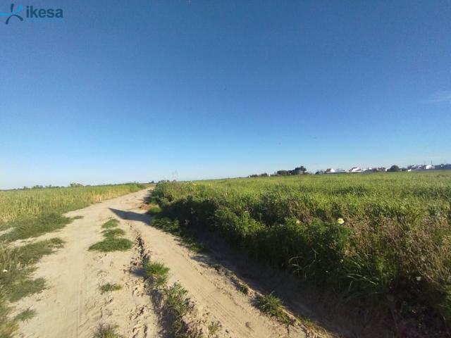 VENTA DE SUELO EN ALMONTE, HUELVA