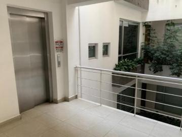 Venta departamento. Punta olivos