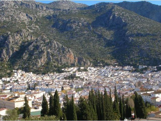VENTA EDIFICIO. ZONA AYUNTAMIENTO