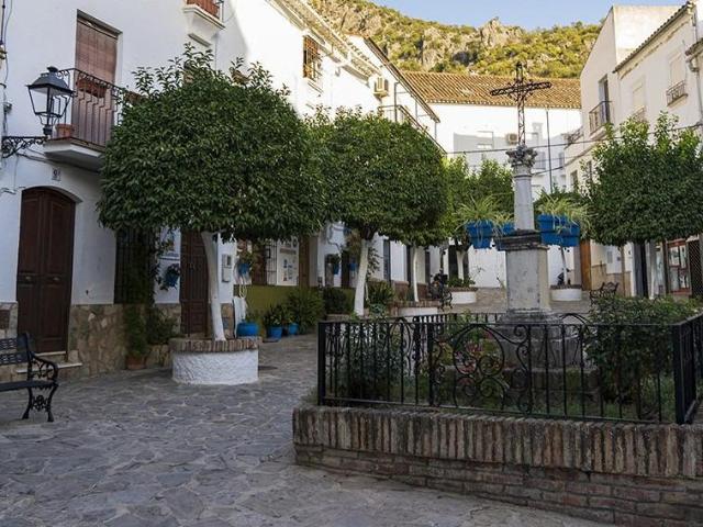 VENTA EDIFICIO. ZONA AYUNTAMIENTO