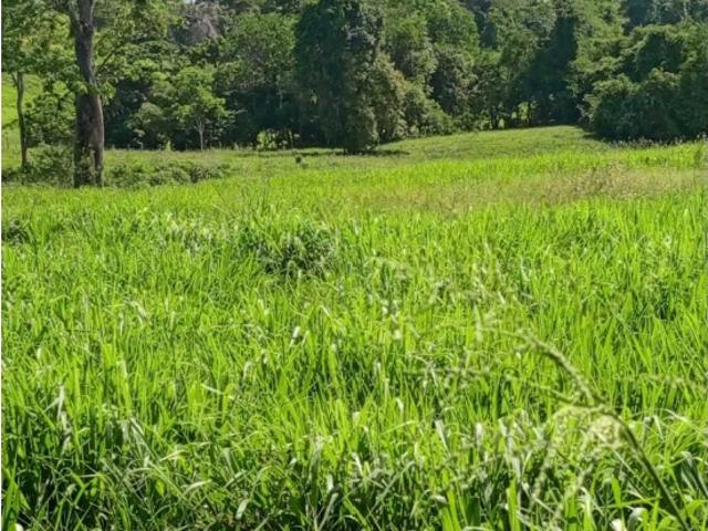 Venta Finca 400 Ha Yaracal, Edo. Falcon