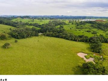 Venta Finca 13.3 Hectáreas en La Mendoza de la Chorrera