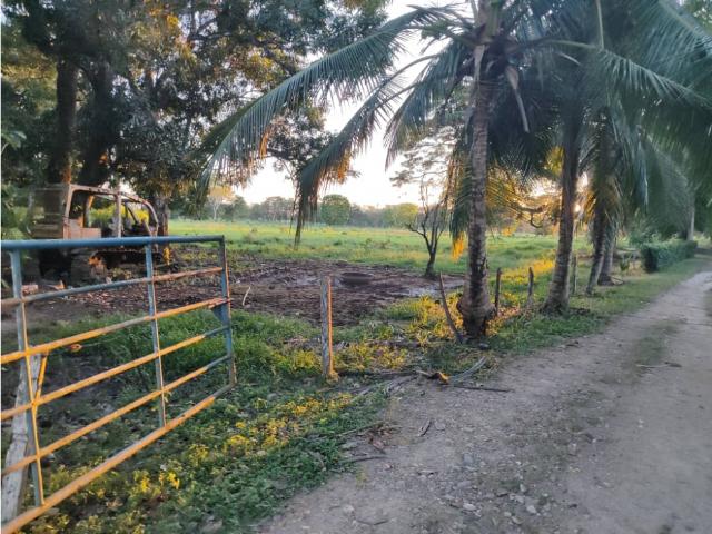 Venta Finca 1.865 Ha Guacas de Rivera, Apure