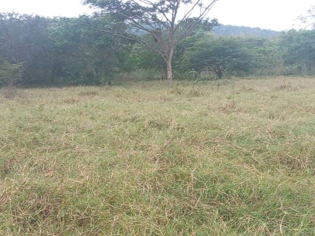 Venta Finca 340 Ha Yaracal, Edo Falcon
