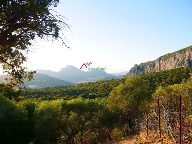 VENTA FINCA ALREDEDORES UBRIQUE