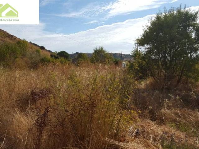 VENTA FINCA CRTA ALMARAZ