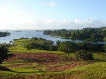 Venta: Finca de 100 Hectáreas frente al Lago Gatún