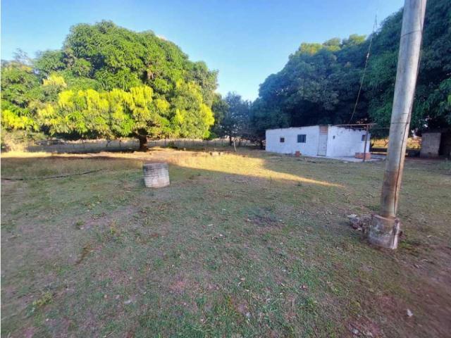 VENTA FINCA DE 168 HECTREAS EN CALABOZO GURICO