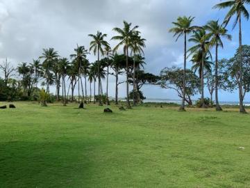 Venta Finca en Colón, Costa Abajo, 220,000 m2 / 22ha. Con 400 metros de frente de playa