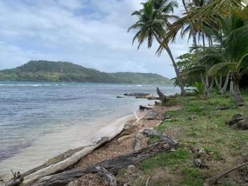 Venta finca en Portobelo