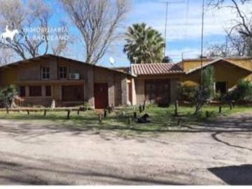 VENTA FINCA EN PRODUCCION RIVADAVIA MENDOZA