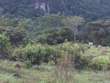 Venta Finca en Sorá, Chame, 100 hectáreas