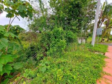VENTA FINCA O TERRENO EN BOCAS DEL TORO ISLA COLON 3.5 HECTÁREAS