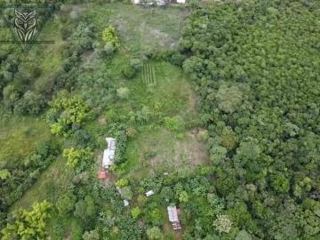 Venta Finca Potrerillo Dolega Chiriquí