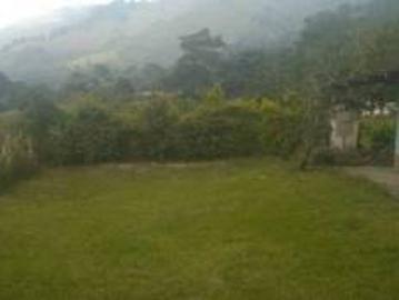 VENTA FINCA PRODUCTIVA
