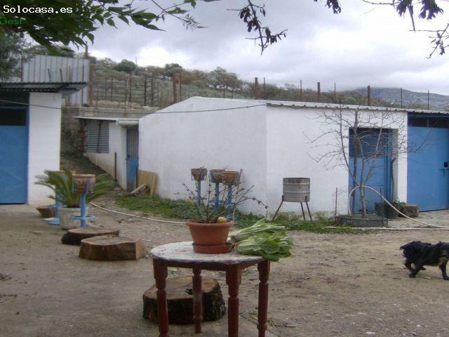 VENTA FINCA RÚSTICA CRTRA. EL BOSQUE UBRIQUE