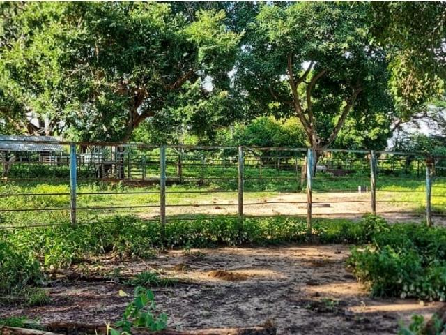 Venta Hato Orinoco