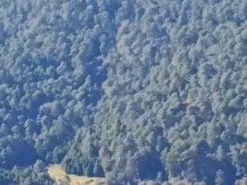 VENTA HECTAREAS EN VALLE DE BRAVO