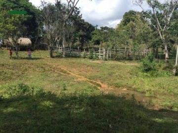VENTA HERMOSA FINCA AGROPECUARIA/GANADERA DE 150 HECTAREAS EN COCLÉ