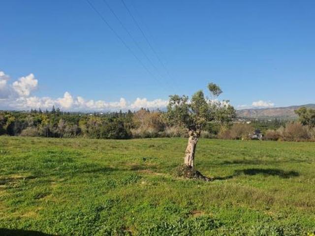 Venta Industrial Alhaurín De La Torre Málaga DS87013131