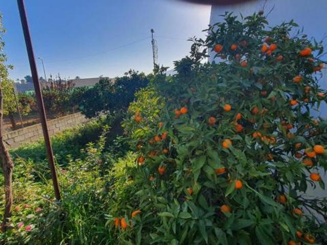 Venta Industrial Alhaurín De La Torre Málaga DS87013132