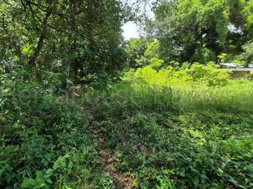 Venta de Lote Titulado en El Francés – Alto Boquete