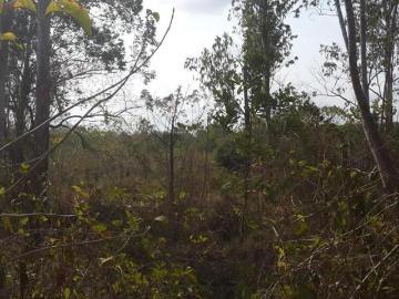 VENTA MESA DE SAN MARTIN 47.25 HECT