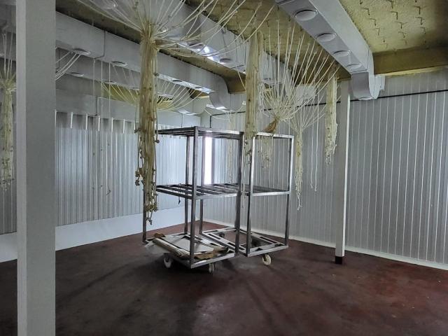 VENTA NAVE INDUSTRIAL